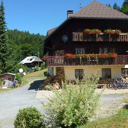 Appartamento Haus Biehler Todtmoos Esterno foto