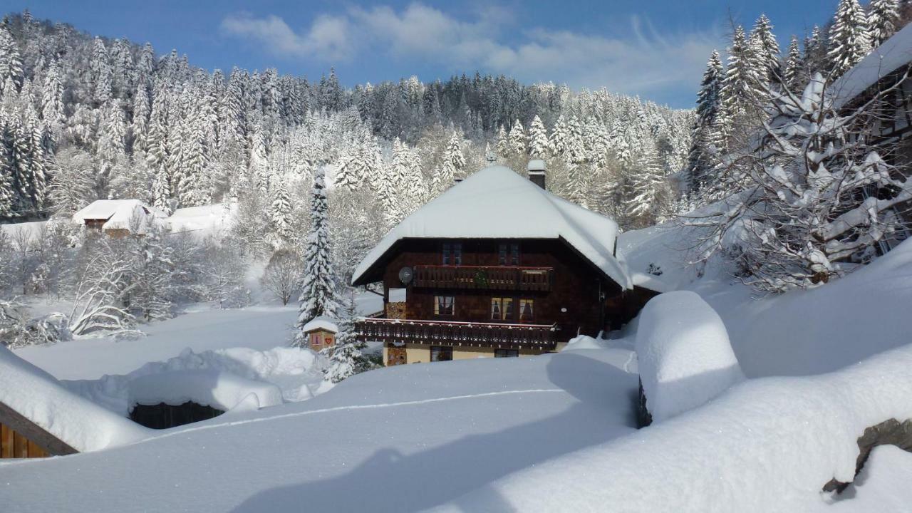 Appartamento Haus Biehler Todtmoos Esterno foto