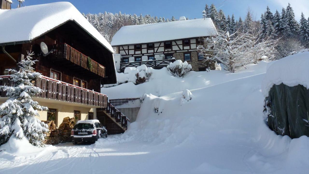 Appartamento Haus Biehler Todtmoos Esterno foto